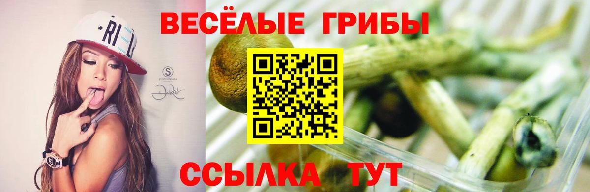 Галлюциногенные грибы MAGIC MUSHROOMS  Вход с VPN  Псилоцибиновые грибы мицелий  Рузаевка 